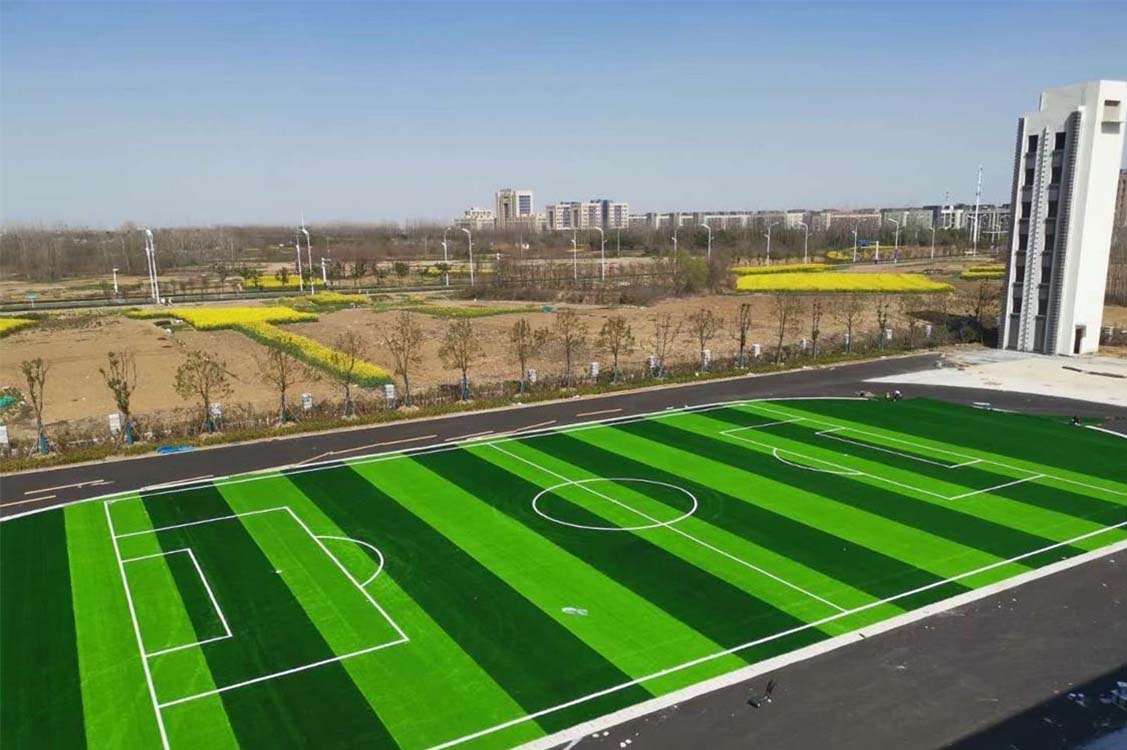 standaard voetbalveld